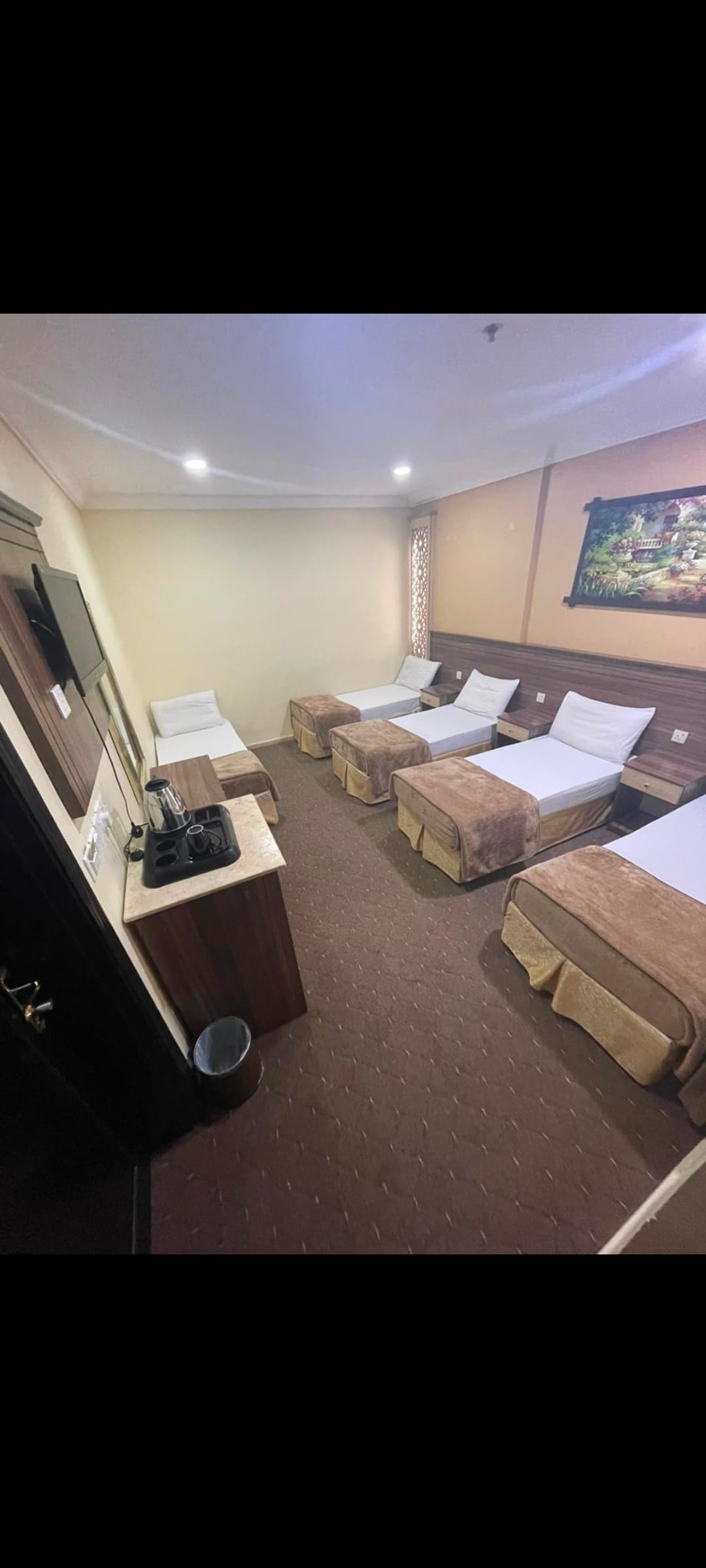 Spacious Family Room